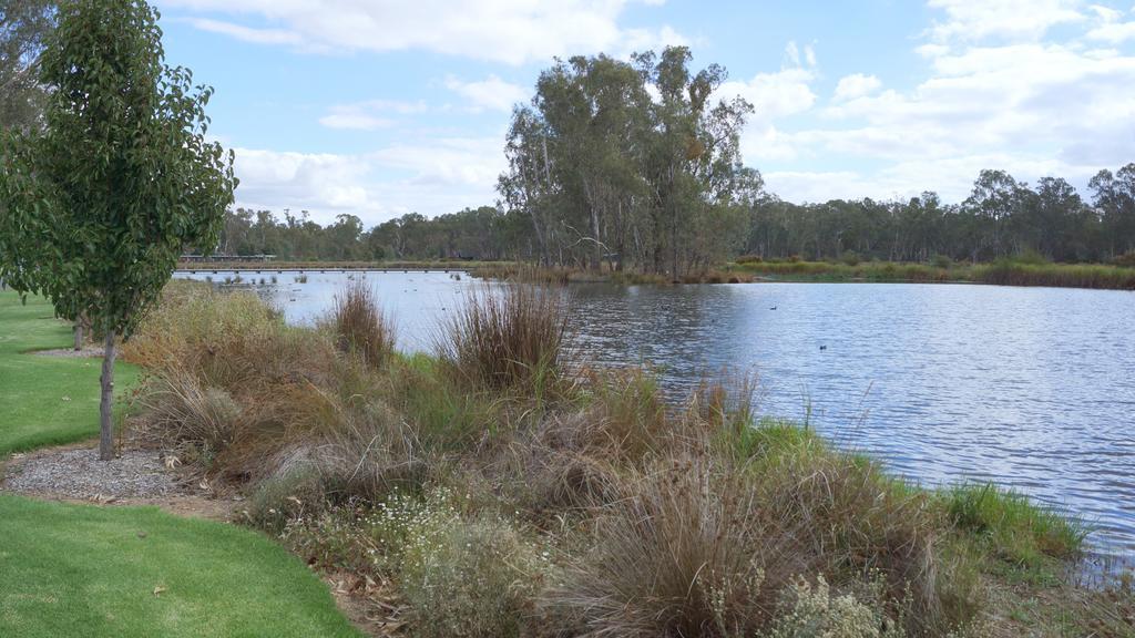 Maude St Apartments Shepparton Esterno foto